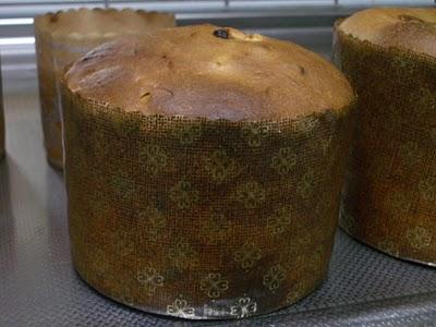 Anche un panettone può collegare il mondo