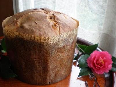 Anche un panettone può collegare il mondo