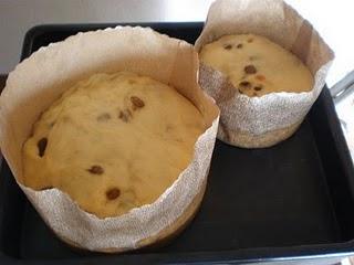 Anche un panettone può collegare il mondo