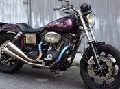 Harley Dyna Special Tramp