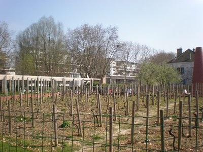 Le Parc de Bercy