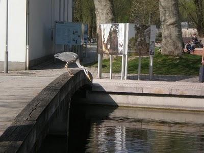 Le Parc de Bercy