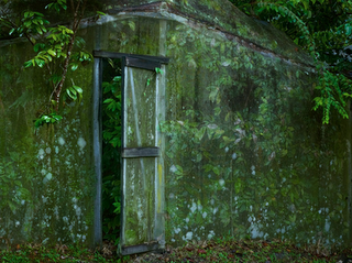 Giardino sommerso / Sunken garden