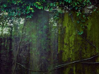 Giardino sommerso / Sunken garden