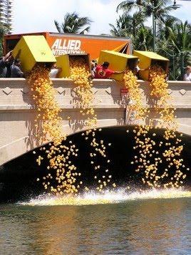 Duck race Hawaiana