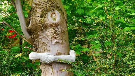 Albero, Verde, Poveri, Fantasia