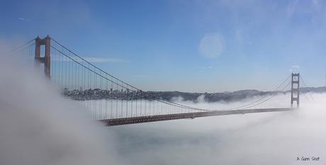 Mist-ical bridge