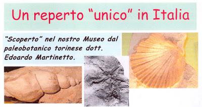 I 35 anni del Museo dei Fossili