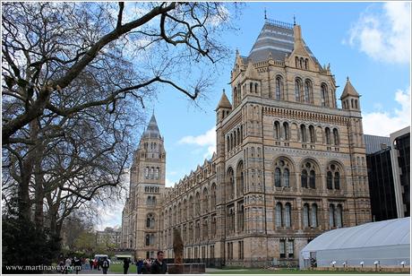 British Museum e Natural History Museum: per musei a Londra.