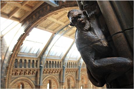 British Museum e Natural History Museum: per musei a Londra.