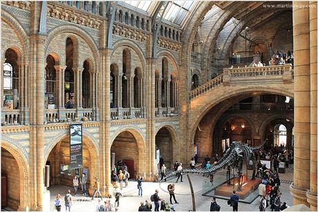 British Museum e Natural History Museum: per musei a Londra.