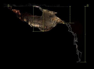 Mappa Grotta Gigante (sezione)