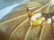 cucina vietnamita riso fritto imperiale (com hoang bao)