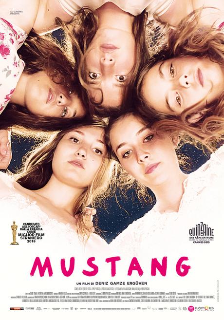 Mustang: il poster e il trailer del film che ha conquistato la Francia