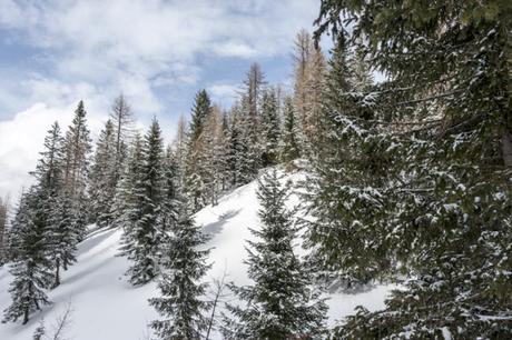 Sette cose da fare sulle Dolomiti bellunesi