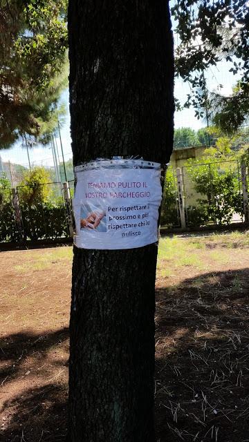 A Roma il verde fa così schifo che i senzatetto si sono messi a pulire i giardinetti. Una storia incredibile da Colli Albani