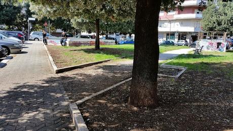 A Roma il verde fa così schifo che i senzatetto si sono messi a pulire i giardinetti. Una storia incredibile da Colli Albani