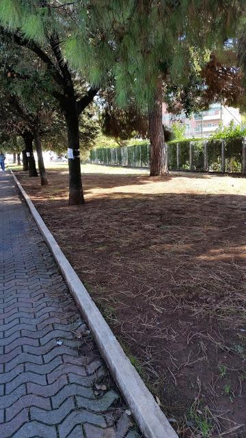 A Roma il verde fa così schifo che i senzatetto si sono messi a pulire i giardinetti. Una storia incredibile da Colli Albani