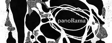 panorama torino_ carol rama