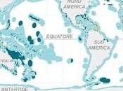 Scoperto l’ultimo santuario oceanico Nuova Zelanda