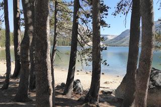 Yosemite National Park, California, USA