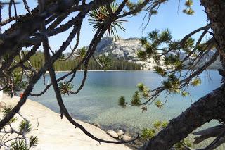 Yosemite National Park, California, USA