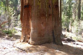 Yosemite National Park, California, USA