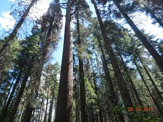 Yosemite National Park, California, USA