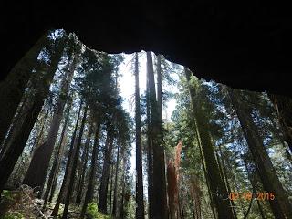 Yosemite National Park, California, USA