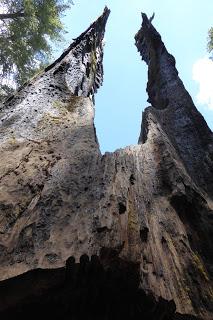 Yosemite National Park, California, USA