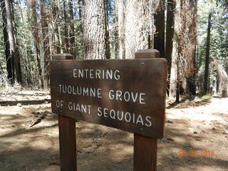 Yosemite National Park, California, USA