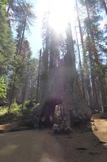 Yosemite National Park, California, USA