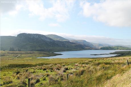 Nel Donegal tra le pecore e il verde.