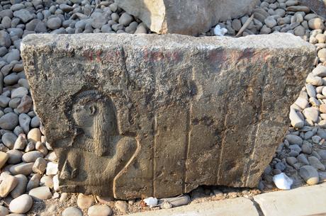 Nuove scoperte nella Vecchia Heliopolis