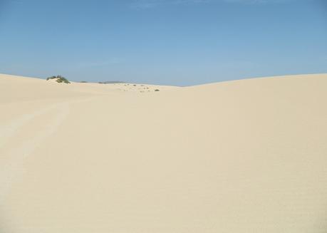 #TRAVEL: le Dune di sabbia di Corralejo