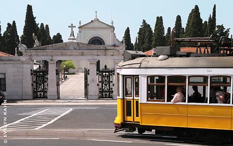 Tour notturno al Cimitero dos Prazeres di Lisbona