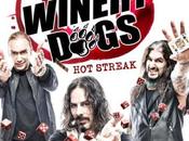 WINERY DOGS Nuovo video streaming "Oblivion"