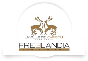 Freelandia: Ingressi Scontati