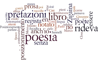 Prefazioni │Il libro di poesia