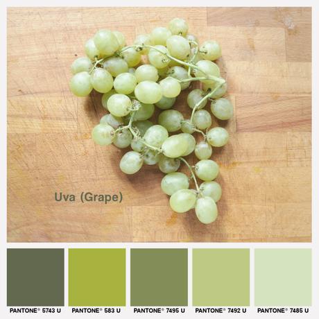 lacaccavella, foodcolors, uva, grape, colorpalette, green, verde