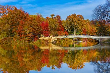 Autunno a New York