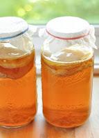 Kombucha, dalla fermentazione il tè del benessere