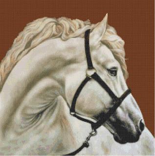 Schema a punto crcce: Cavallo bianco