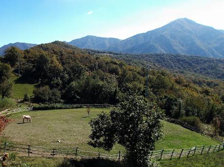 Il Tobbio visto da Pian della Castagna