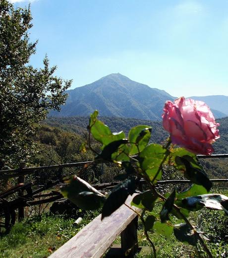 Il Tobbio visto da Pian della Castagna