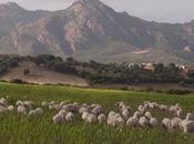 Refresh, Regione tranquillizza agricoltori