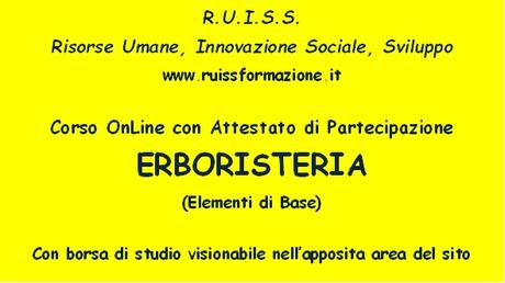 Corsi di Formazione OnLine con Attestato di Partecipazione