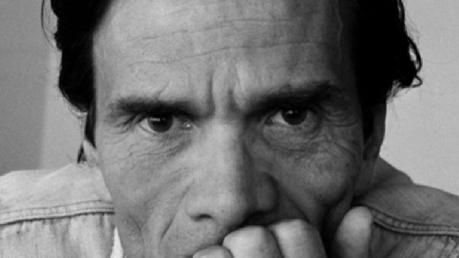 Petizione Pasolini