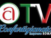 CONFARTIGIANATO Televisione parla alle Imprese, nuova iniziativa Roberto Onofri