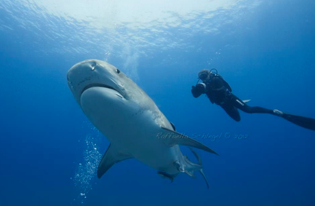 Schermata 2015-10-09 alle 17.28.57